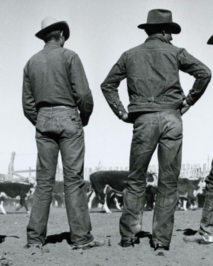 la démocratisation du Levi's